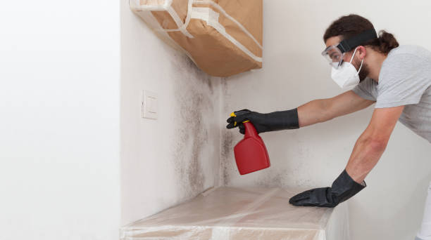 Professional Mold Cleanup technician working in Ronkonkoma, NY