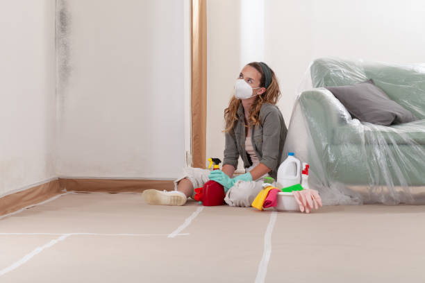 Reliable Mold Cleanup contractor in Ronkonkoma, NY by Cheap Mold Removal